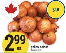 Marché Adonis yellow onions offer