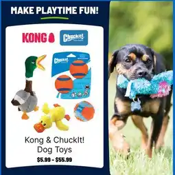 Ren’s Pets Depot Kong & ChuckIt! Dog Toys offer