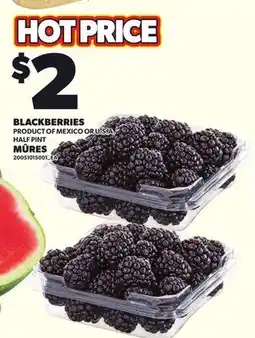 Independent Grocer BLACKBERRIES, HALF PINT offer