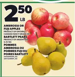 Independent Grocer AMBROSIA OR FUJI APPLES OR BARTLETT PEARS offer