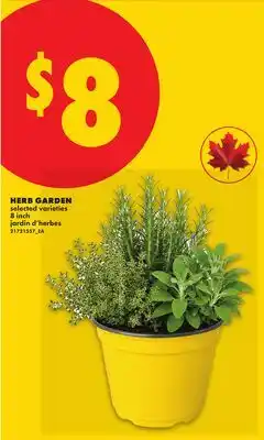 No Frills HERB GARDEN, 8 inch offer