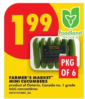 No Frills FARMER'S MARKET MINI CUCUMBERS, PKG OF 6 offer