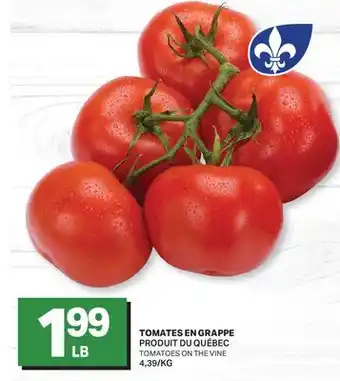 L'Intermarché TOMATES EN GRAPPE | TOMATOES ON THE VINE offer