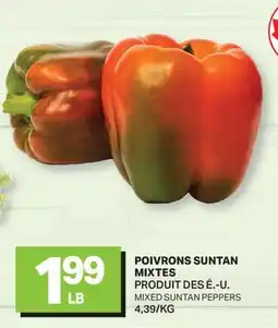 L'Intermarché POIVRONS SUNTAN MIXTES | MIXED SUNTAN PEPPERS offer