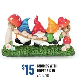 Canac Gnomes with Rope 121/4 in offer