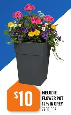 Canac Mélodie Flower Pot 12 1/4 in offer