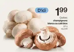 Avril Champignons blancs ou café bios offer