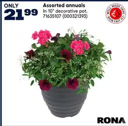 RONA Assorted annuals offer