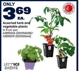 RONA LETT'UCE GARDEN Assorted herb and vegetable plants offer