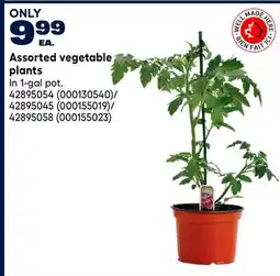 RONA Assorted vegetable plants offer