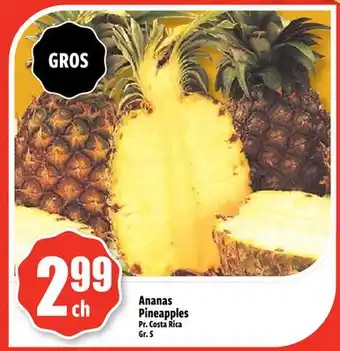 Bonanza Ananas offer