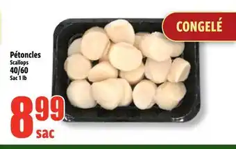 Bonanza Scallops offer
