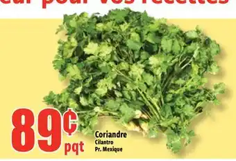 Bonanza Coriandre offer