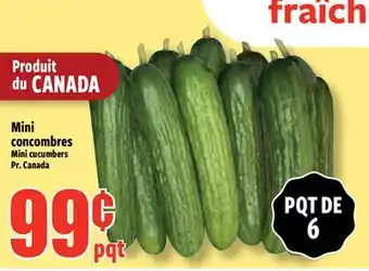 Bonanza Mini concombres offer