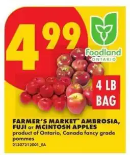 No Frills Farmer's Market Ambrosia, Fuji or McIntosh Apples offer