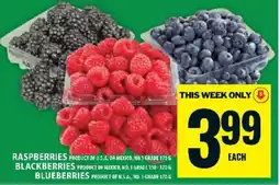 Food Basics Raspberries, Blackberries, Blueberries offer