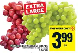 Food Basics GREEN or RED SEEDLESS GRAPES offer