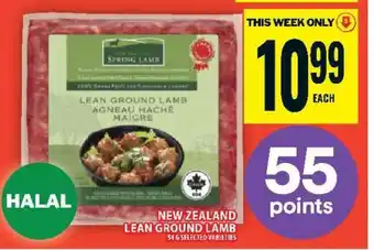 Food Basics New Zealand Lean Ground Lamb offer