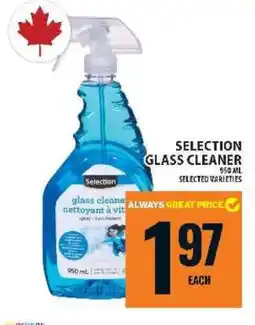 Food Basics SELECTION GLASS CLEANER offer