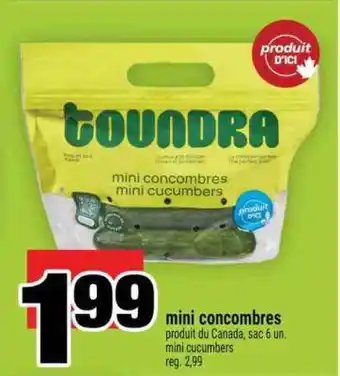 Super C mini concombres offer