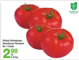 Highland Farms Ontario Homegrown Greenhouse Tomatoes offer