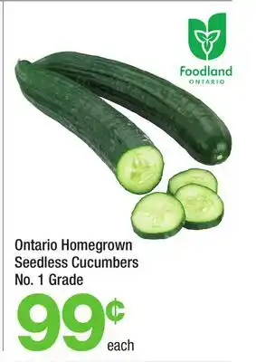 Highland Farms Ontario Homegrown Seedless Cucumbers offer