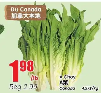 Btrust Supermarket A Choy offer