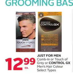 Rexall JUST FOR MEN Comb-In or Touch of Grey or CONTROL GX Men's Hair Colour offer