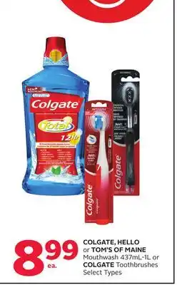 Rexall COLGATE, HELLO or TOM'S OF MAINE Mouthwash 437mL-1L or COLGATE Toothbrushes offer