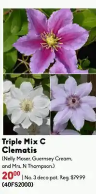 Sheridan Nurseries Triple Mix Clematis offer