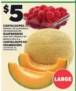 Independent City Market CANTALOUPES, EACH OR RASPBERRIES, HALF PINT offer