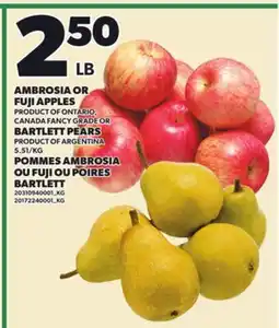 Independent City Market AMBROSIA OR FUJI APPLES OR BARTLETT PEARS offer