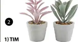 JYSK TIM, LOVE Artificial potted plant offer