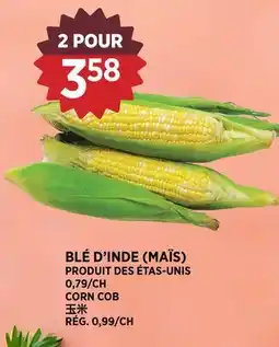 Kim Phat CORN COB offer