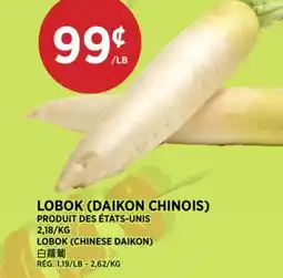 Kim Phat LOBOK (CHINESE DAIKON) offer