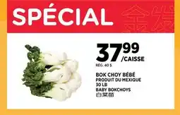 Kim Phat BABY BOKCHOYS offer