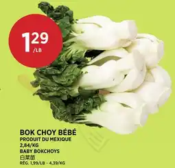 Kim Phat BABY BOKCHOYS offer