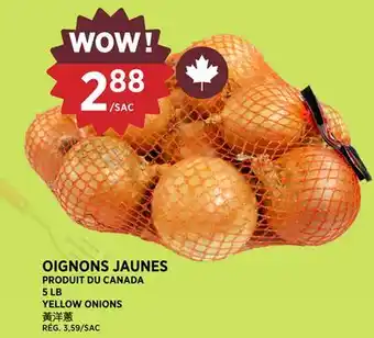 Kim Phat YELLOW ONIONS offer