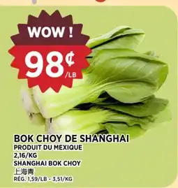 Kim Phat SHANGHAI BOK CHOY offer