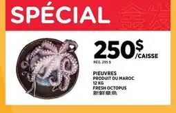 Kim Phat FRESH OCTOPUS offer