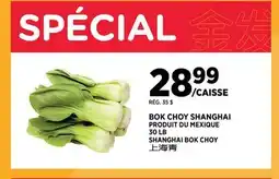 Kim Phat SHANGHAI BOK CHOY offer