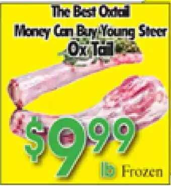 Danforth Food Market The Best Oxtail Money Can Buy Young Steer Ox Tail offer