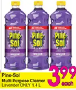 Danforth Food Market Pine-Sol Multi Purpose Cleaner offer