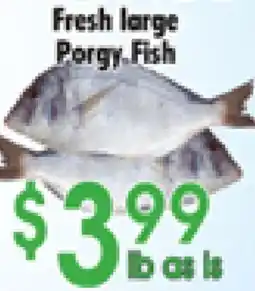 Danforth Food Market Fresh large Porgy Fish offer