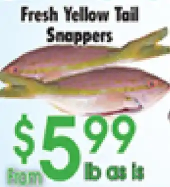 Danforth Food Market Fresh Yellow Tail Snappers offer