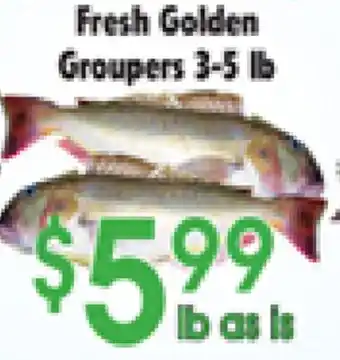 Danforth Food Market Fresh Golden Groupers offer