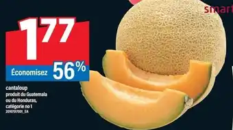 Maxi Cantaloup offer