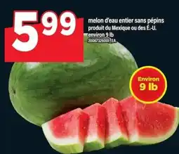 Maxi Melon offer