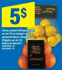 Maxi Lemon citrons offer
