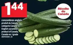 Maxi Cucumbers offer